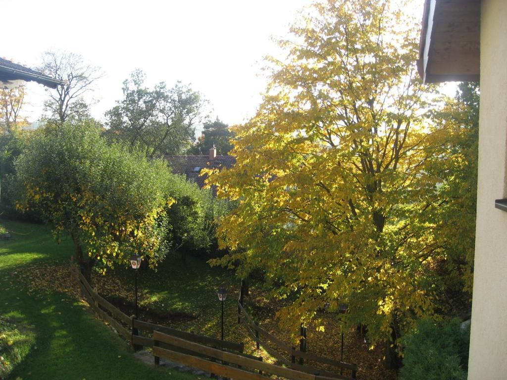 Hotel Landhaus Silbertanne Rotenburg an der Fulda Zewnętrze zdjęcie